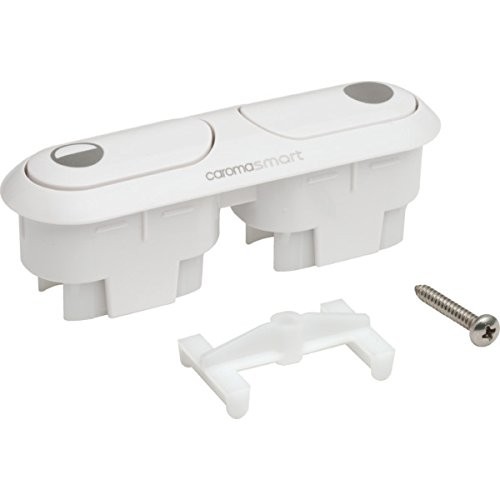 Dual flush button and - flush, bezel
