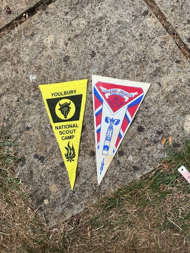 Vintage scout camp - 2, pennant