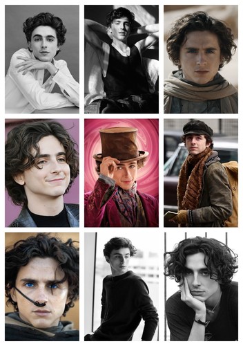 Timothee chalamet poster - timothee,
