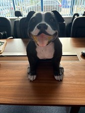 Lifesize Resin Staffordshire Bull Terrier Statue - JR 170075