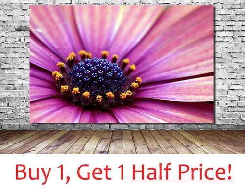 Pink flower canvas wall art - canvas,