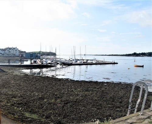 Photo 12x8 portaferry marina - 12x8,
