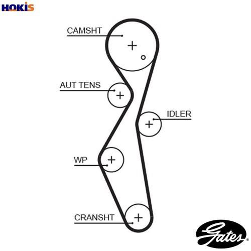 Timing belt 5672xs - for, ford