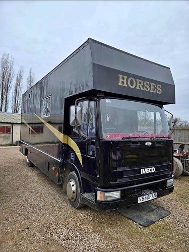Iveco 75e15 horsebox - iveco,