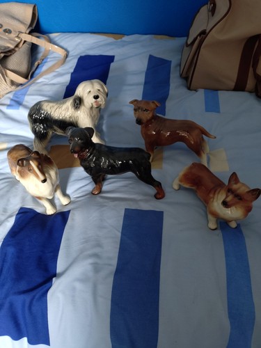 Vintage china dog ornaments - vintage,
