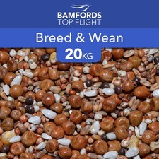 Bamfords breed and wean pigeon - breed,