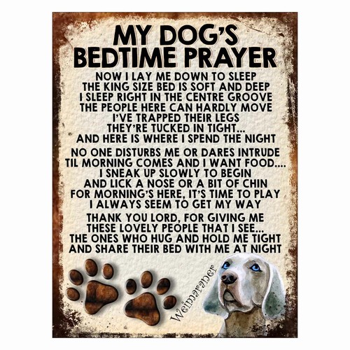 Dog bedtime prayer retro - my,