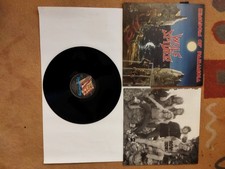 WOLF SPIDER - Kingdom of