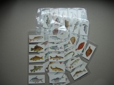 Carreras Craven Black Cat SPORT FISH Complete 50 Cigarette Card Set 1978