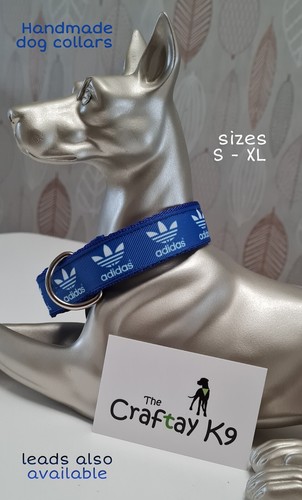Handmade sport dog - , collar