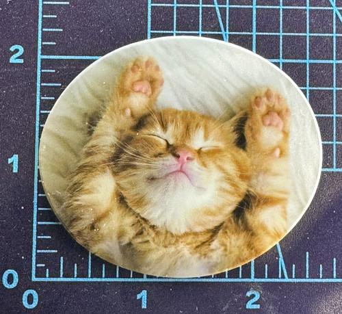 Ginger cat zen mode vinyl - -,