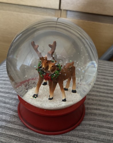 Max christmas snow globe - max,