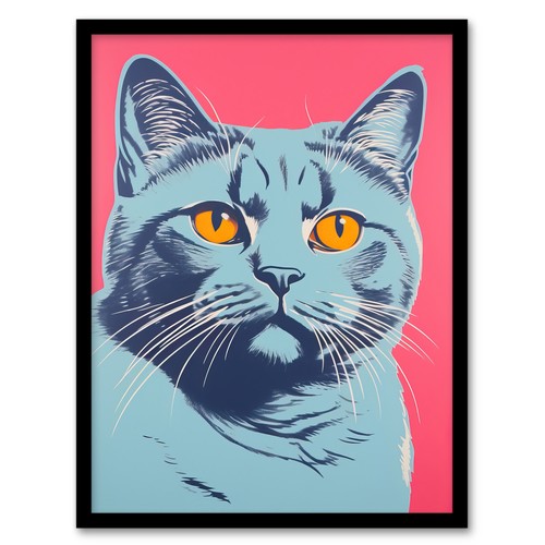 British shorthair cat - british, on