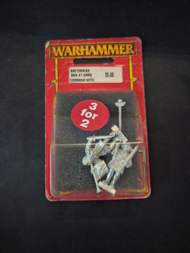 Vintage warhammer bretonnian - vintage,