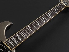 Paul Reed Smith(PRS) SE Santana ~Silver~