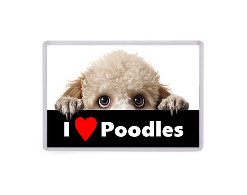 Love poodles dogs - love,