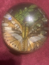 Vintage 1950s Resin Dome
