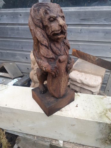 Old oak lion - oak, lion,