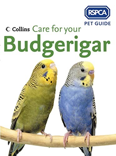 Care for your budgerigar - care,
