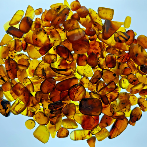 Genuine burmese amber 1x - -,