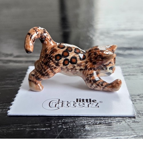 Little critterz cat bengal - little,