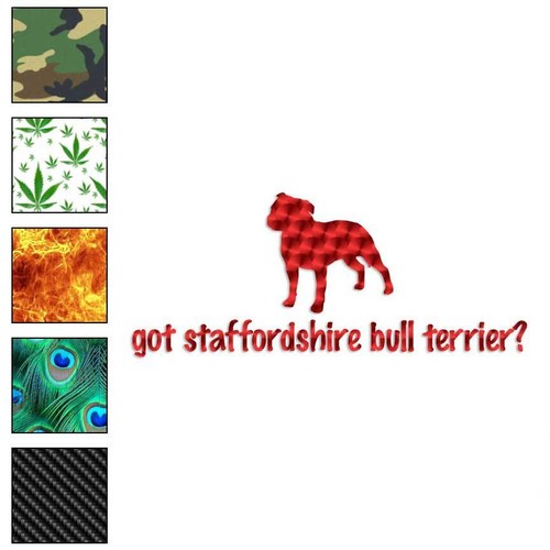 Got staffordshire terrier - got,
