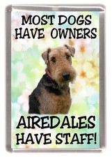 Airedale Terrier Dog Fridge