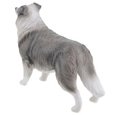  Border Collie Model Child Dog