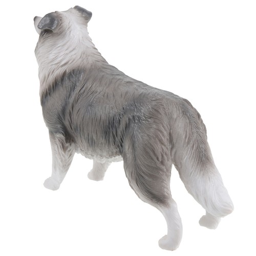 Border collie model child dog - border,