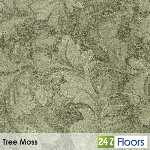 Tree moss california dreams - moss, 26