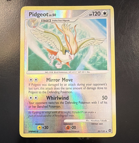 The pokémon company - the, pidgeot