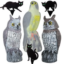 Large Owl Falcon Cat Decoy