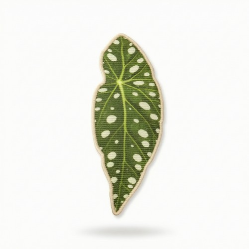Leaf cat scratch board - scratch,