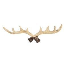 2X(Vintage Deer Antlers Wall