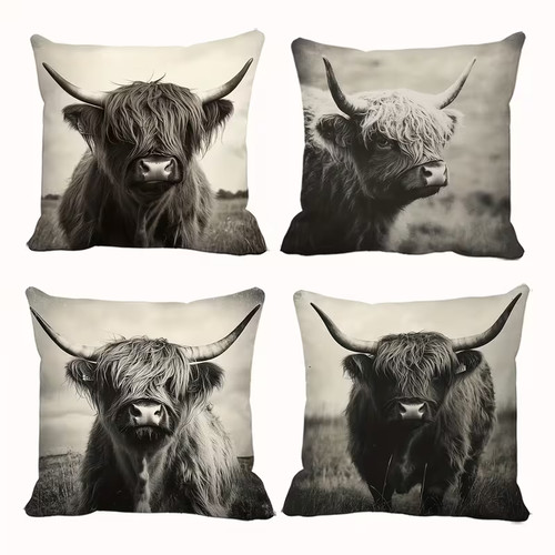 Highland cow the wild - 4,
