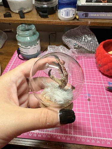 Pigeon foot taxidermy - pigeon,