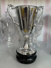 European Winner Cup Trophy 35cm Height Football Souvenir nice gift European Cup