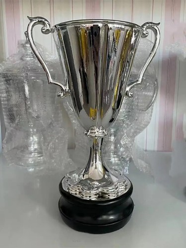 European winner cup trophy - european,