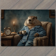 POSTCARD Beaver In Pajamas