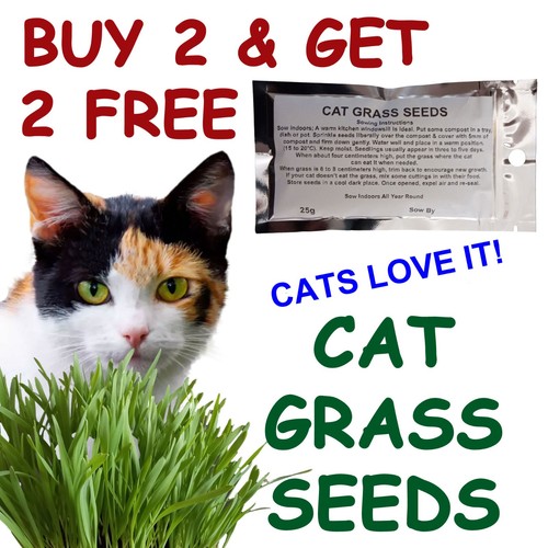 Cat grass seeds - cat, 25g