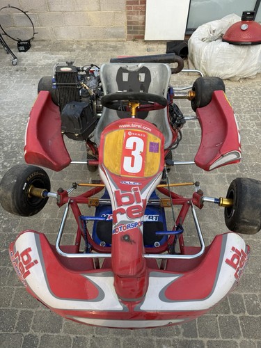 Rotax max senior kart - max,