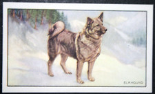 ELKHOUND   Vintage 1936