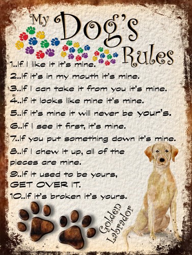 Dog rules retro style - dog's,