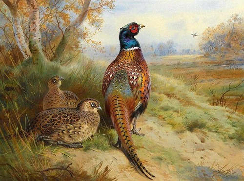 Oil painting archibald - painting,