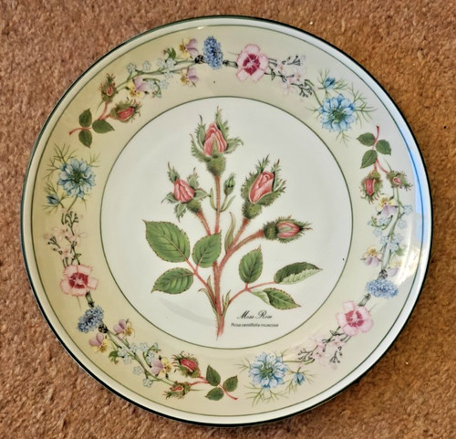 Aynsley wild tudor - tudor, pattern
