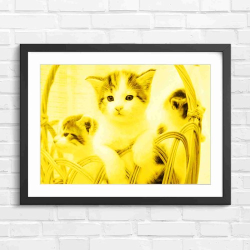 Adorable kittens wicker - adorable,