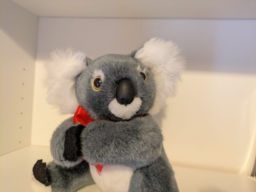 Koala bear stuffed - koala, toy