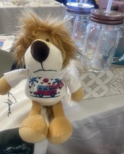 Custom Plush Lion with T-shirt