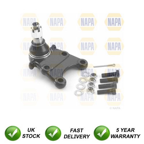 Ball joint front lower - ball,