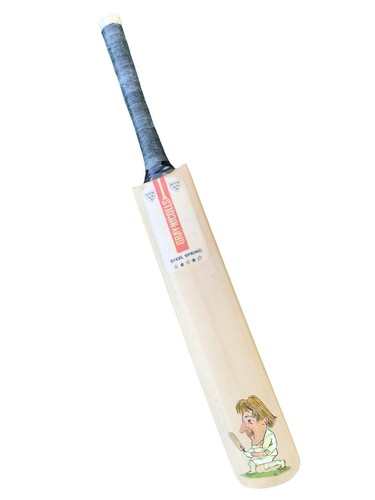 Vintage mini cricket bat - vintage,